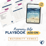 Housing Pregnancy Help Playbook Add-On